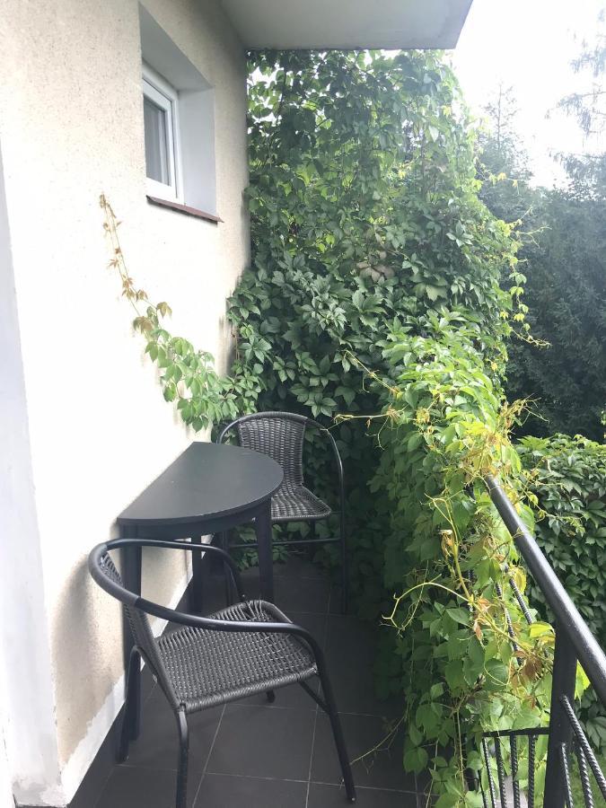 Noclegi Nad Potokiem Czarna  Bagian luar foto